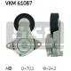 VKM 61087
