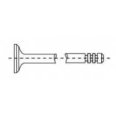 551783B CORTECO Впускной клапан