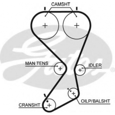 5556XS GATES Ремень ГРМ