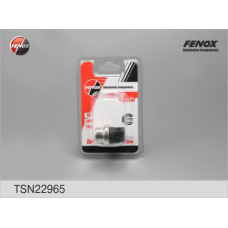 TSN22965 FENOX Датчик, температура охлаждающей жидкости