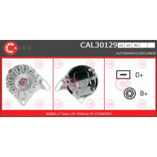 CAL30129GS CASCO Генератор