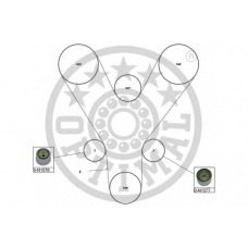 SK-1669 OPTIMAL Комплект ремня грм