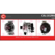 CAL10286<br />CASCO