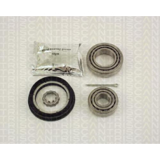 8530 14118 TRIDON Wheel bearing kit