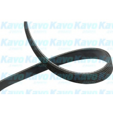 DMV-3039 KAVO PARTS Поликлиновой ремень