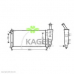 31-0429 KAGER Радиатор, охлаждение двигателя