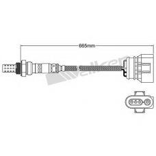 250-24307 WALKER Лямбда-зонд