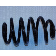 8750 2473 TRIDON Coil spring rear