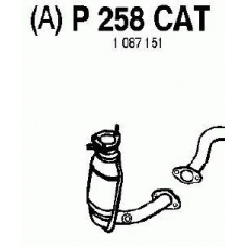 P258CAT FENNO Катализатор