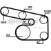 6PK1873D1 CONTITECH Поликлиновой ременный комплект