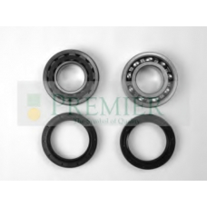 BRT539 BRT Bearings Комплект подшипника ступицы колеса