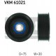 VKM 61021