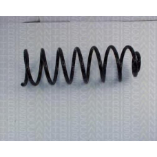 8750 2987 TRIDON Coil spring rear