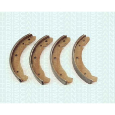 8100 29105 TRIDON Brake shoes