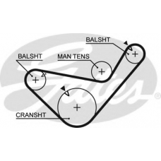 5456XS GATES Ремень ГРМ