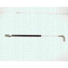 8710 13235 TRIDON Gas spring rear