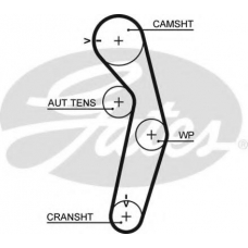 5445XS GATES Ремень ГРМ