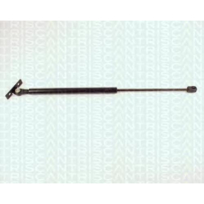 8710 24101 TRIDON Gas spring front
