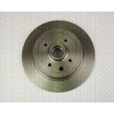 8120 24111 TRIDON Brake discs, rear