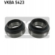 VKBA 5423