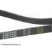 ADT39631 BLUE PRINT Поликлиновой ремень