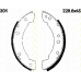 8100 10301 TRISCAN Комплект тормозных колодок