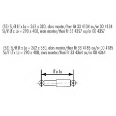334185 RECORD FRANCE Амортизатор