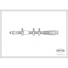 19018553 CORTECO Тормозной шланг