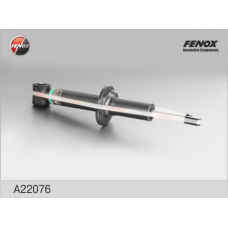 A22076 FENOX Амортизатор