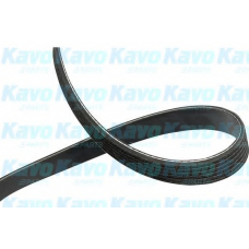 DMV-4022 KAVO PARTS Поликлиновой ремень