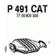 P491CAT