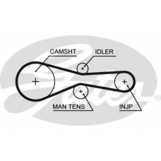 5613XS GATES Ремень ГРМ