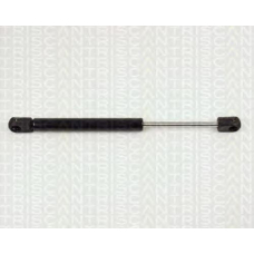 8710 29237 TRIDON Gas spring rear