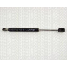 8710 29210 TRIDON Gas spring rear