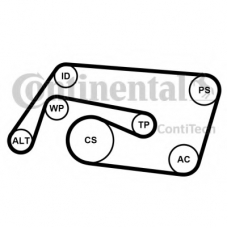 6PK2260K2 CONTITECH Поликлиновой ременный комплект