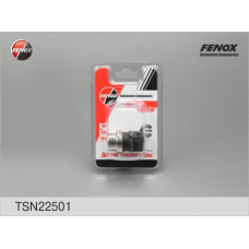 TSN22501 FENOX Датчик, температура охлаждающей жидкости