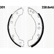 8100 10301 TRIDON Brake shoes