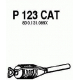 P123CAT