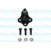 SBJ-1006 KAVO PARTS Несущий / направляющий шарнир