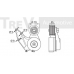 TA1609 TREVI AUTOMOTIVE Натяжной ролик, поликлиновой  ремень