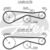 5613XS GATES Ремень ГРМ