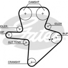 5586XS GATES Ремень ГРМ