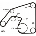 6PK2241D1 CONTITECH Поликлиновой ременный комплект