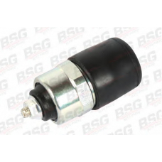 BSG 30-840-014 BSG Подъёмный магнит