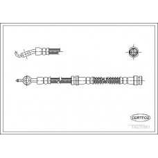 19031861 CORTECO Тормозной шланг