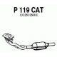 P119CAT