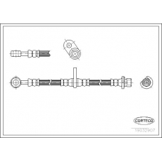19032907 CORTECO Тормозной шланг