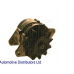 ADS71103 BLUE PRINT Генератор