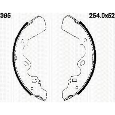 8100 60395 TRIDON Brake shoes