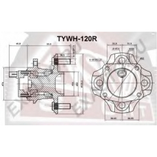 TYWH-120R ASVA Ступица колеса